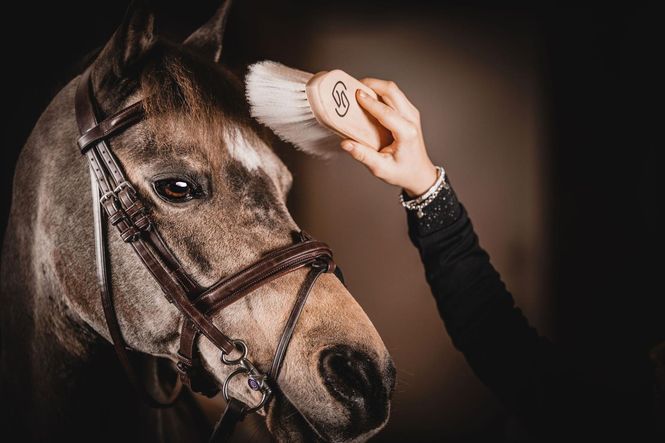 Hovedbilde ONE Equestrian Børste super ...