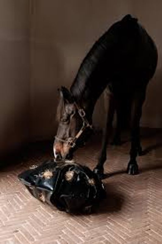 Kentucky Play & Haybag Slow Feeder Round