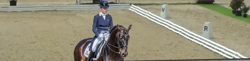 DRESSURPISK FLECK FELDMAN CARBON
