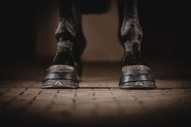 Hovedbilde ONE Equestrian Hoofbands