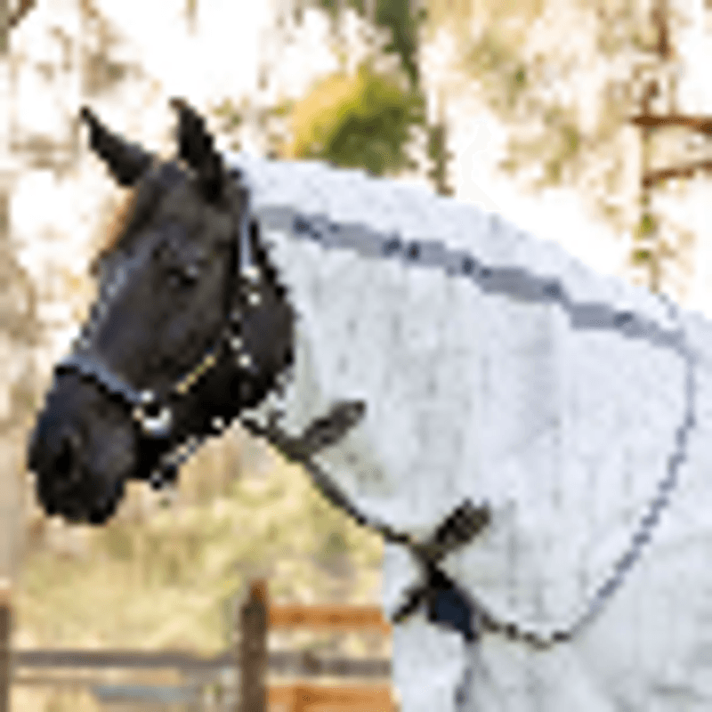 Amigo® Aussie All Rounder