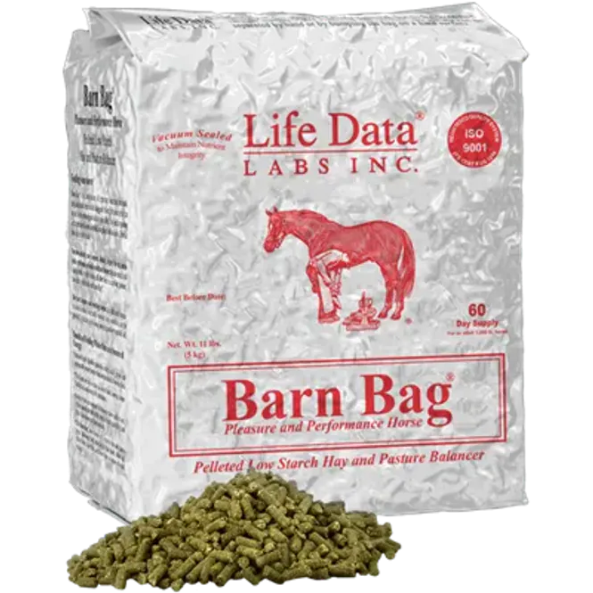 Hovedbilde BARN BAG LIFE DATA