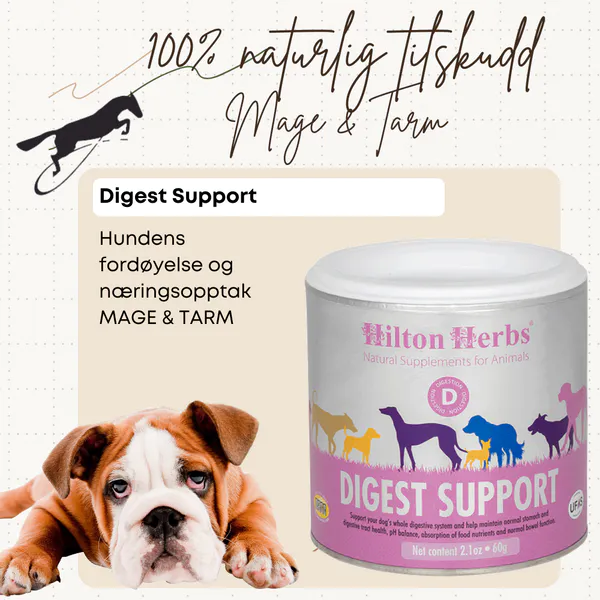Hovedbilde Digest Support Hilton Herbs