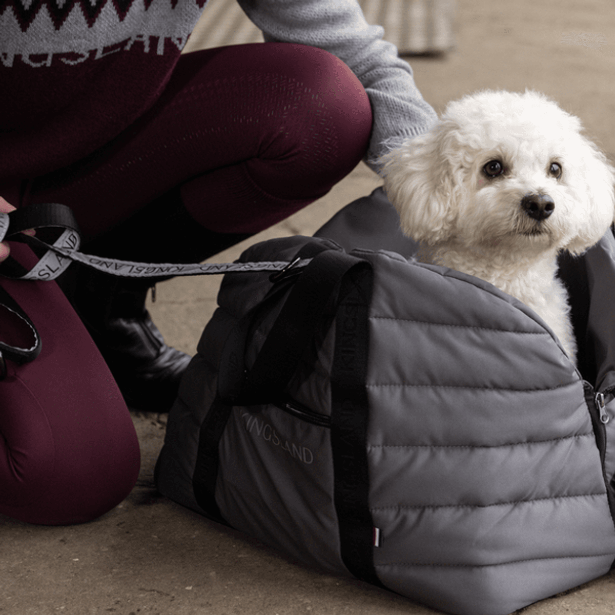 KINGSLAND MACEY Dog blanket bag