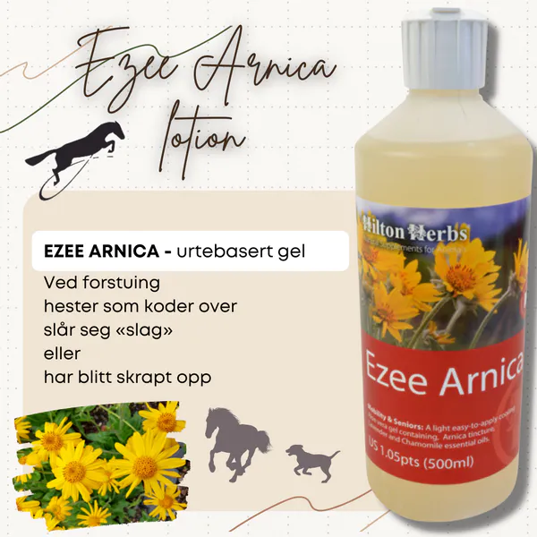 Hovedbilde Ezee Arnica Gel 250ml Hilton ...