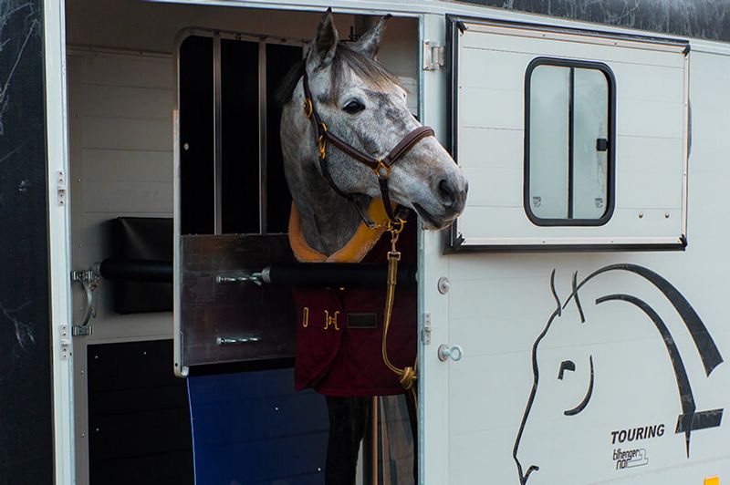Cheval Liberté Touring Country