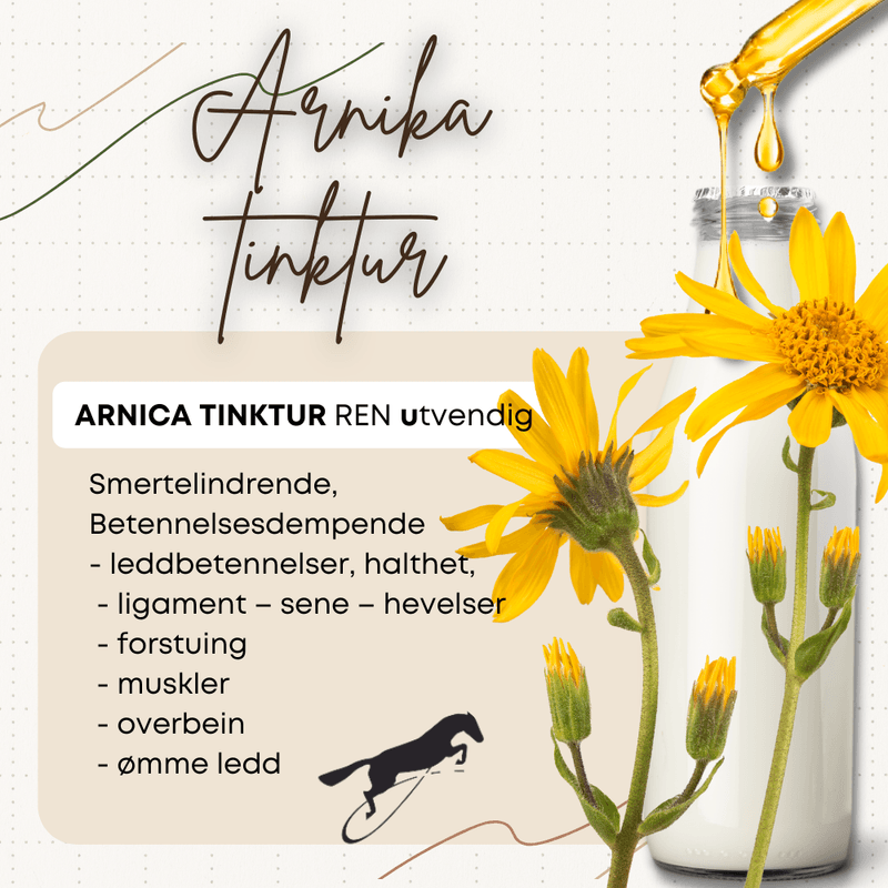 Arnica tinktur - ren Hilton Herbs 100ml
