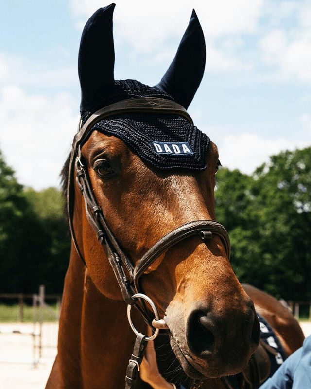 Polias Navy - Ear bonnet for horse