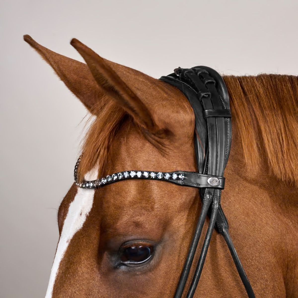 Bridle Round with Large Noseband Soft Leather