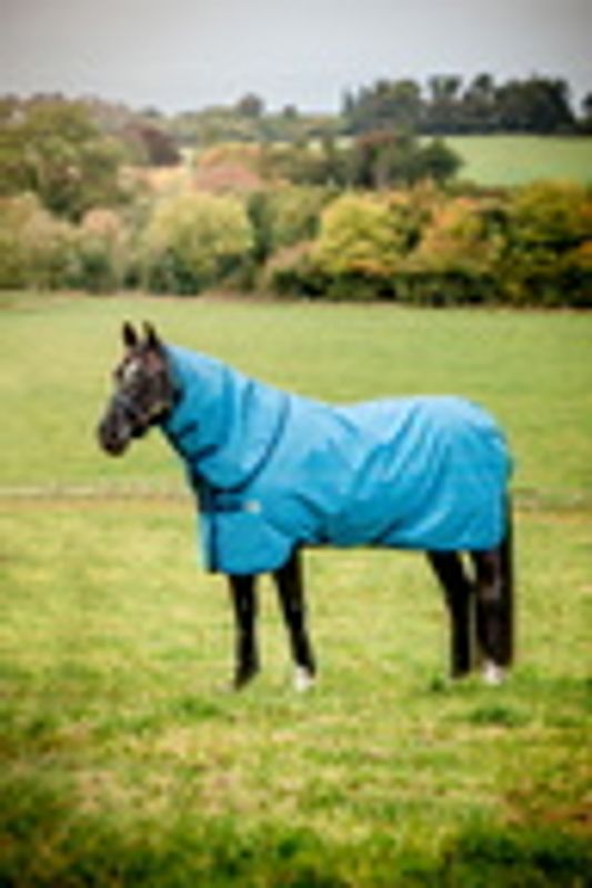 Amigo Hero 900 Revive Plus 200g Turnout Rug - Ocean Blue