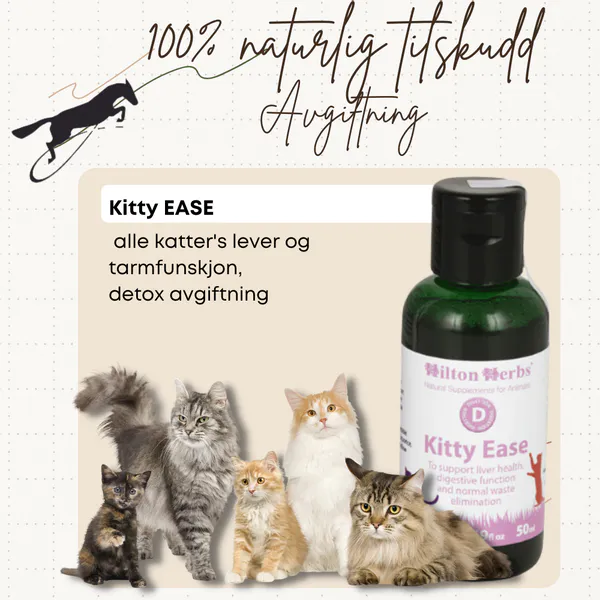 Hovedbilde Kitty Ease Hilton Herbs