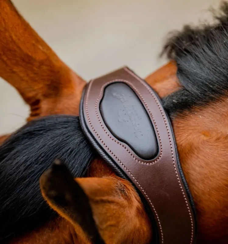 Horseware® Signature Braided Headcollar