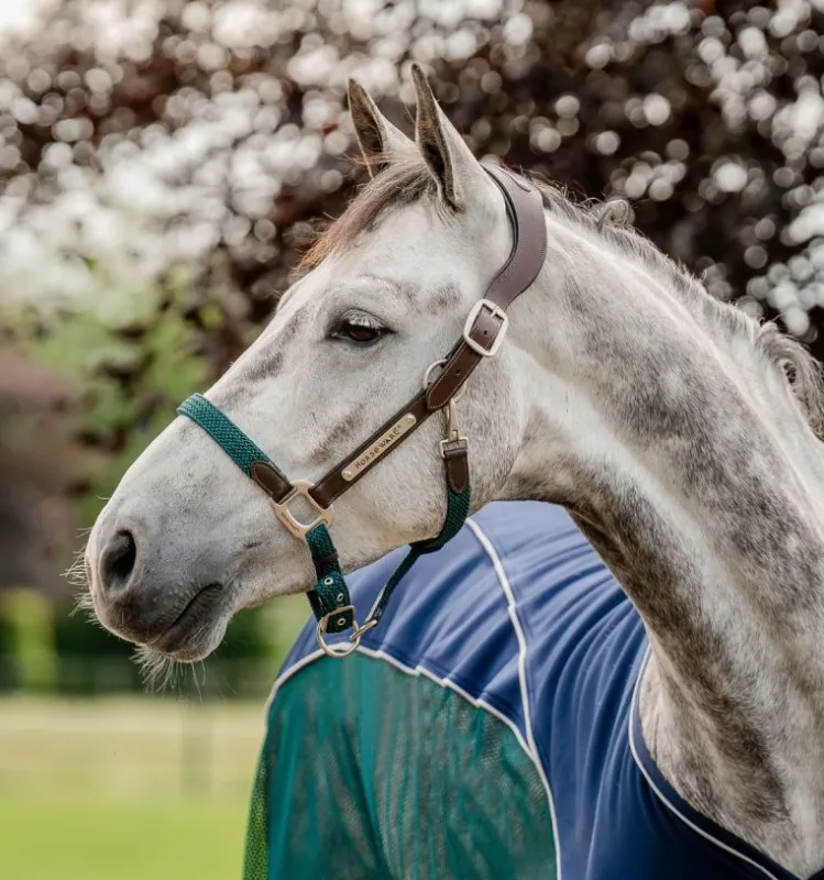 Horseware® Signature Braided Headcollar