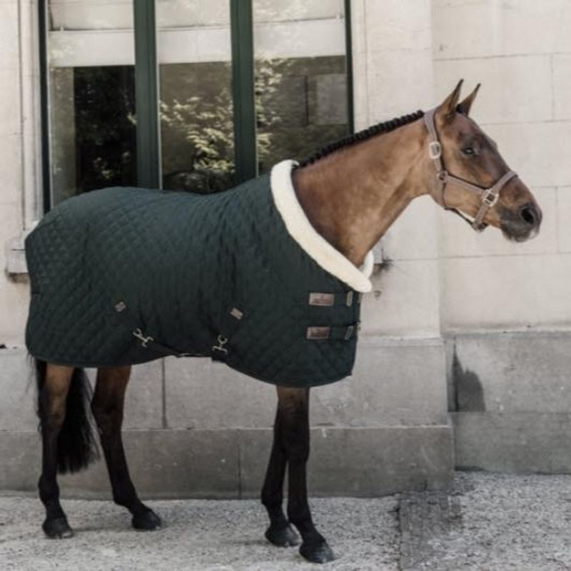 Kentucky Show Rug 160gr -  DARK GREEN
