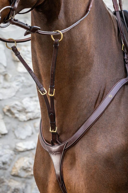 Running Martingale Attachment DY 