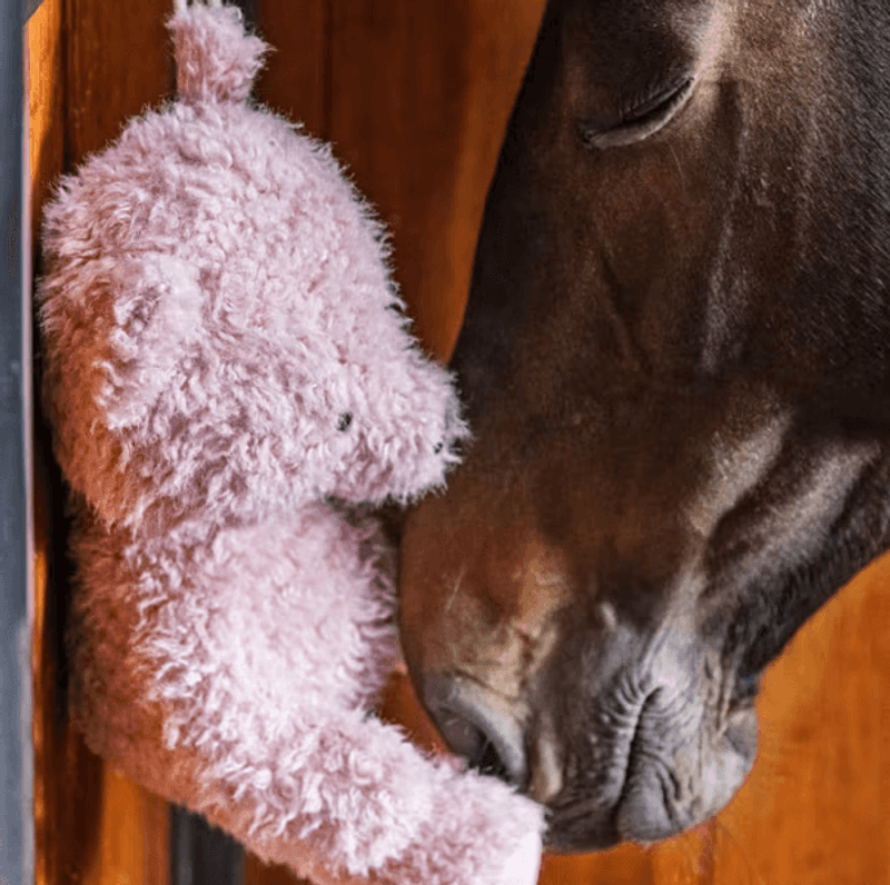 NY Kentucky Relax Horse Toy Bear